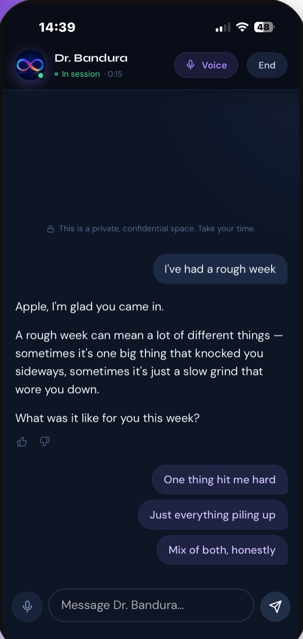 A conversation in progress with the AI companion.